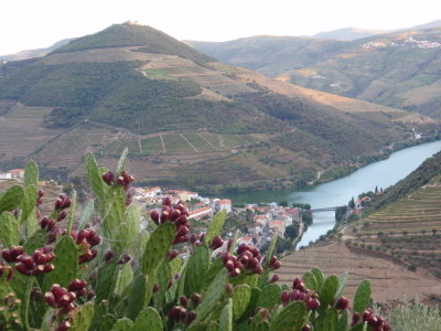 The town of Pinhão and the Rio Douro.